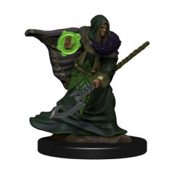 D&D ICONS OF THE REALMS: PREPAINTED MINIATURES -  MALE ELF DRUID -  RPG MINIATURE PREPAINTED DUNGEONS & DRAGONS